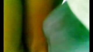 Шибан бразилски голям кафяв петел свирки клипове в Хендън.